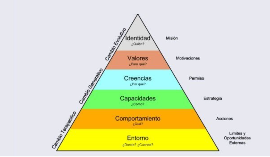 Niveles Neurológicos